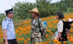 秋收时家里没人照看苹果包谷卖了钱要及时存进银行