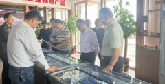 将知识产权优势转化为市场竞争优势和高质量发展优势