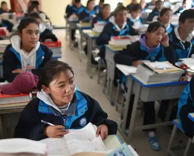 不同学段的特色设计出既契合学生认知又激起其爱好的教育内容